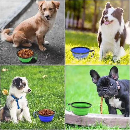 2 Pack Collapsible Dog Water Bowls for Cats Dogs, Portable Petfeeding Watering Dish for Traveling with 2 Carabiners